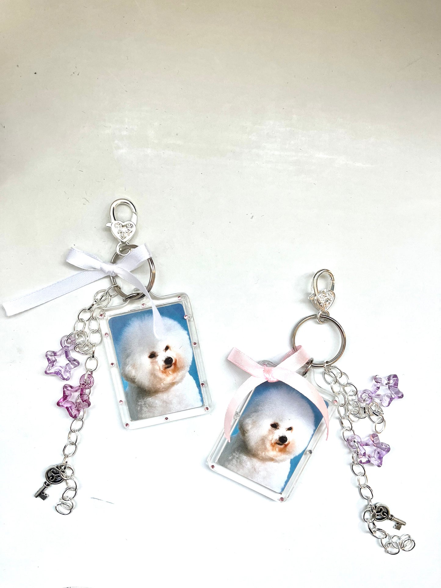 Bichon Pet Charm